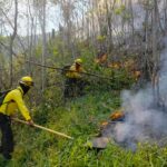Son más de mil 670 hectáreas afectadas en Altas Montañas por los incendios 