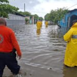 Atiende SSP caídas de árboles y deslaves sobre carreteras