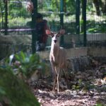 Inauguraron Naturalia, espacio que requirió 95 mdp