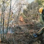 Fuerzas de tarea apagan incendio en Ejido Perote 