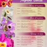 Teocelo florece con el V Festival Nacional del Dendrobium Nobile