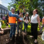 Con jornada de reforestación, conmemora Ayuntamiento Día Mundial del Medio Ambiente
